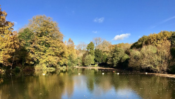 Bathing ponds and Parliament Hill