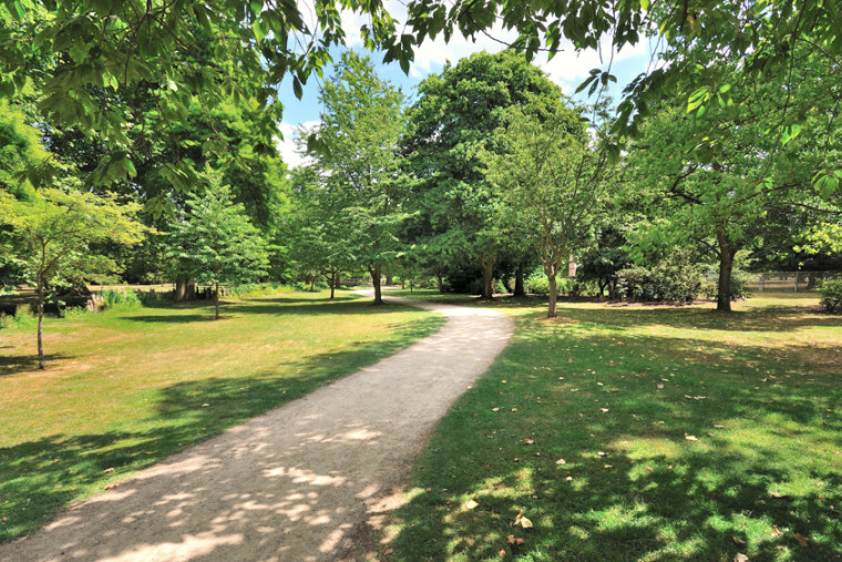 BNB8MR Bushy Park in Hampton 3
