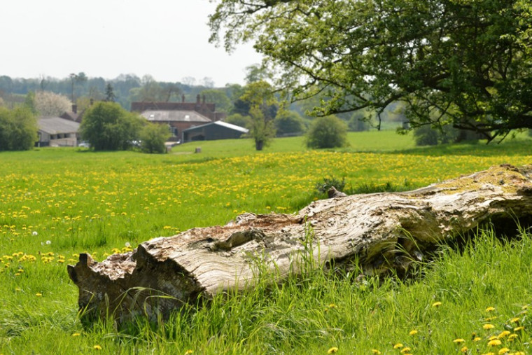 Blog Header Images 800x1400px 34