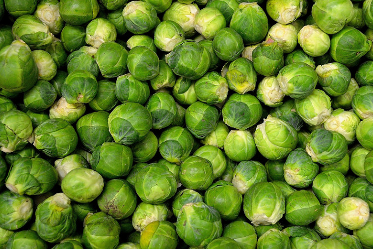 sprouts