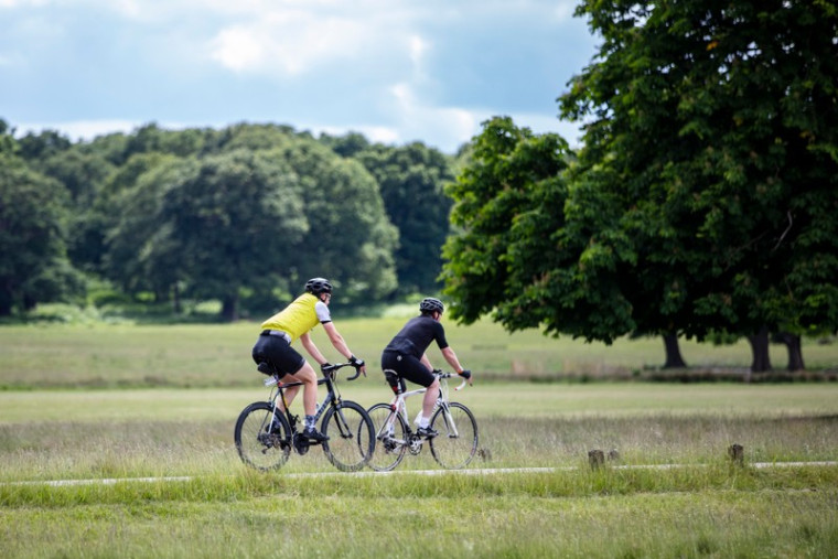 vb2000223 www.andrewhendry.com Richmond Park28 800x566